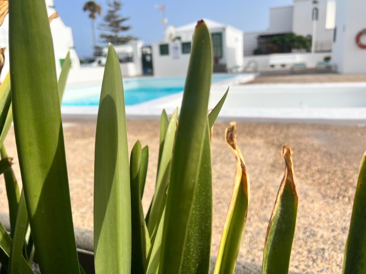 Las Mimosas Beach Sol Puerto del Carmen  Bagian luar foto